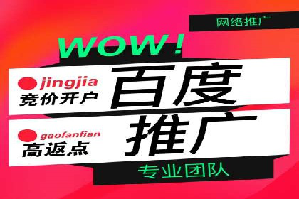 竞价端口开户后的广告投放策略案例